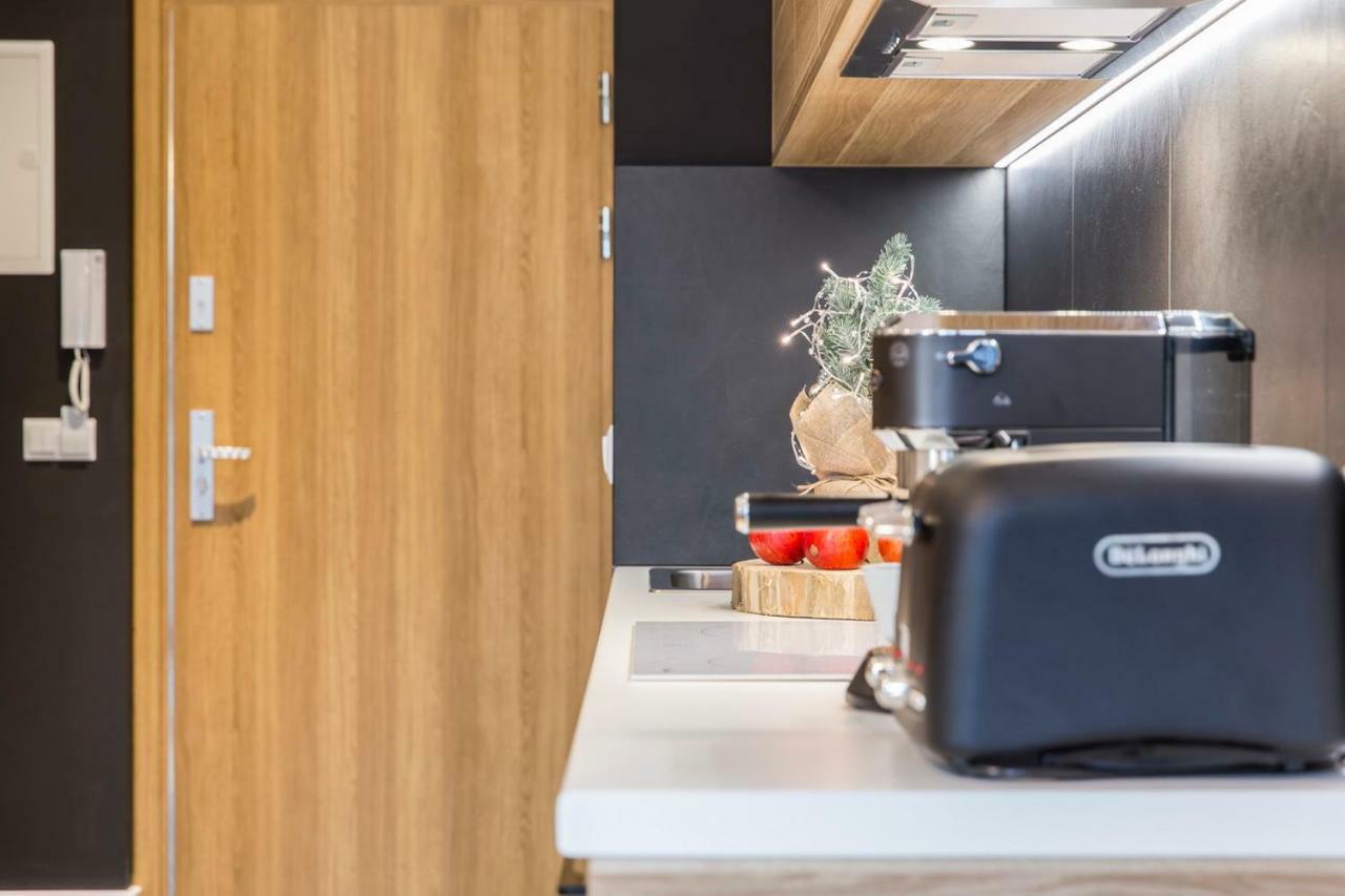 Apartament Czarny Staw ザコパネ エクステリア 写真