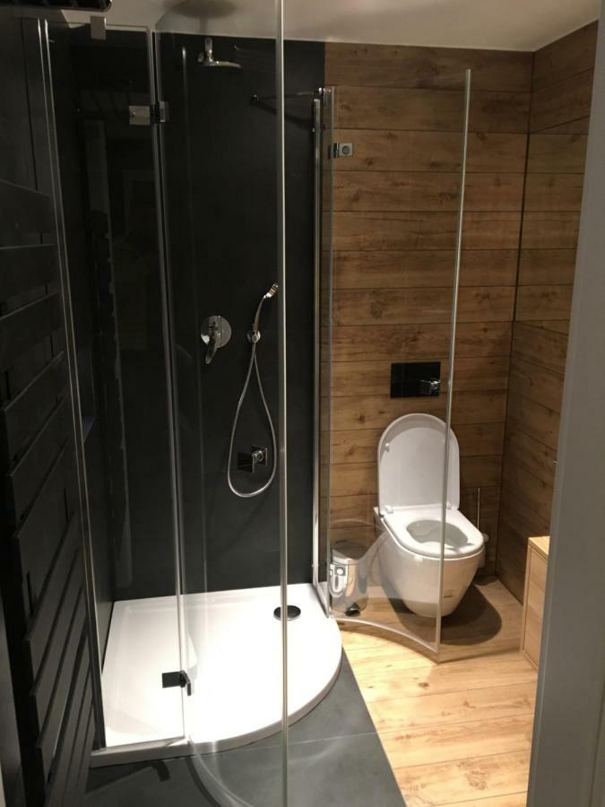 Apartament Czarny Staw ザコパネ エクステリア 写真